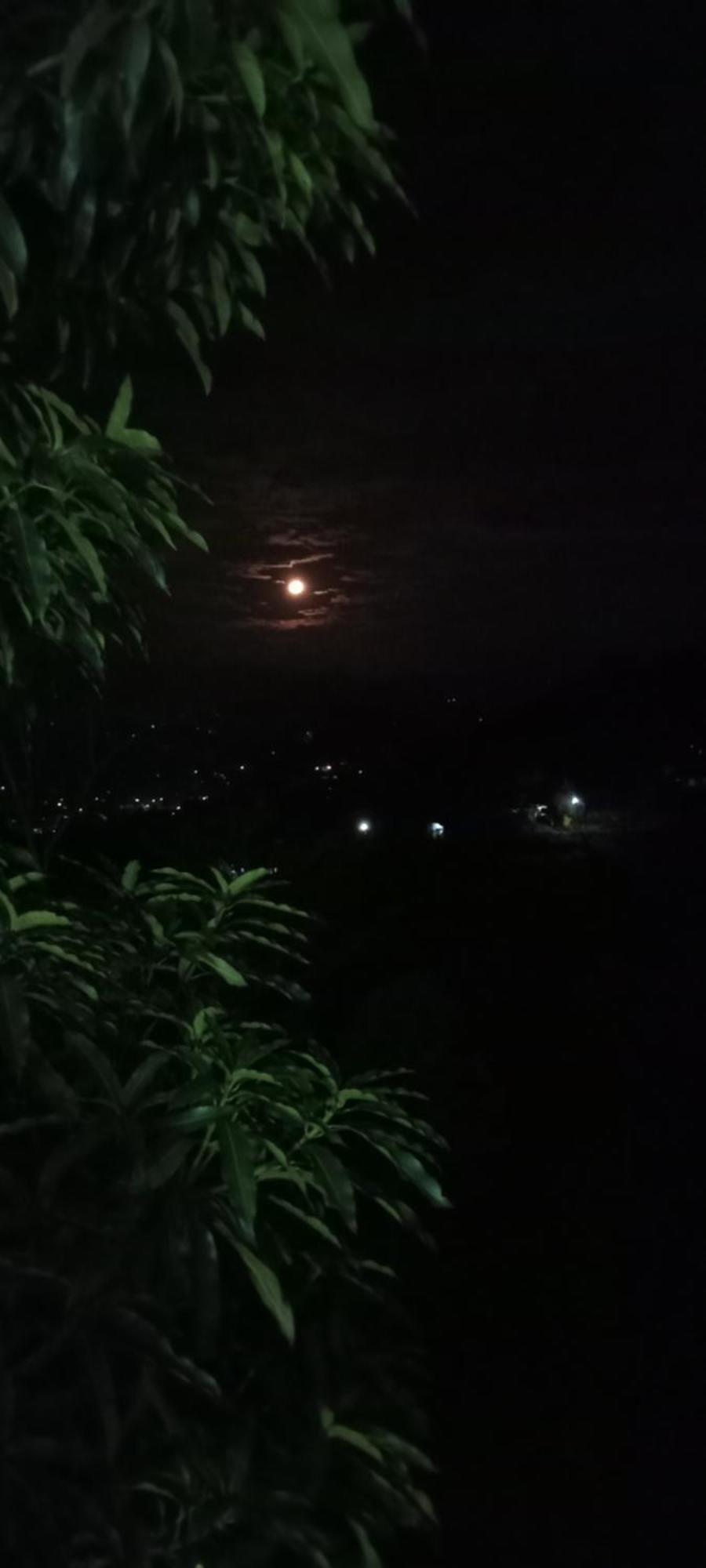 Kandy Ivy Mountain View Resort Quarto foto